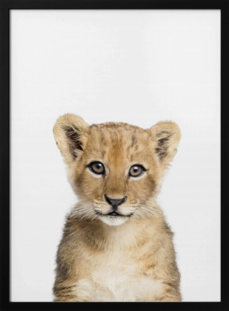 Baby Lion | Poster