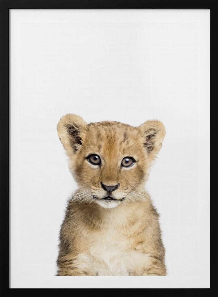 Baby Lion | Poster