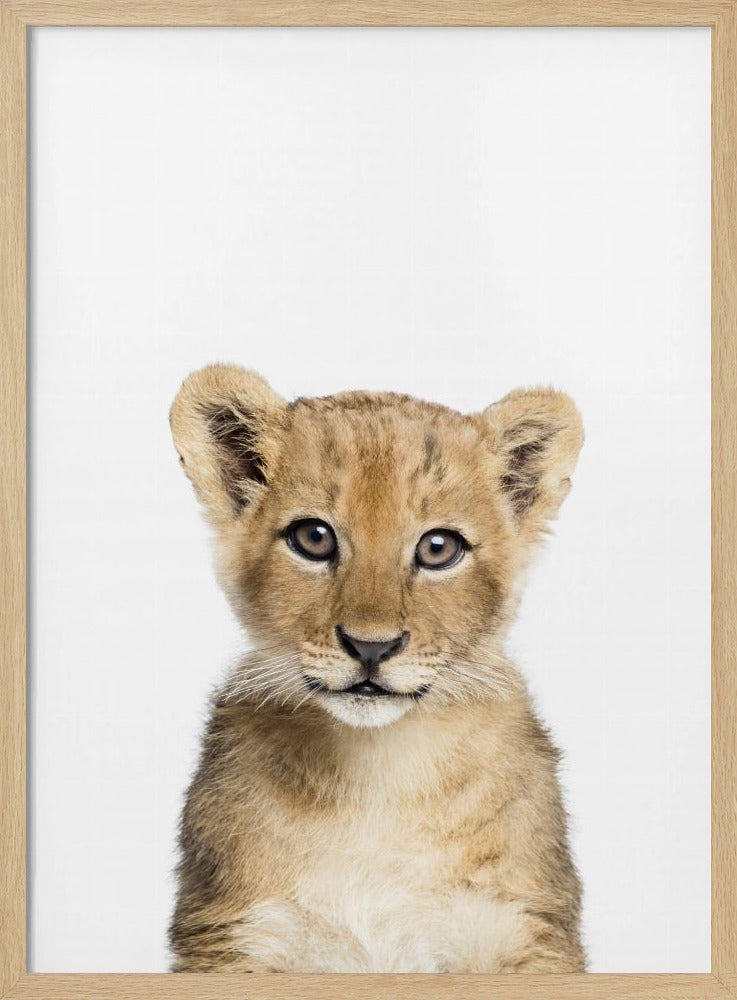 Baby Lion | Poster