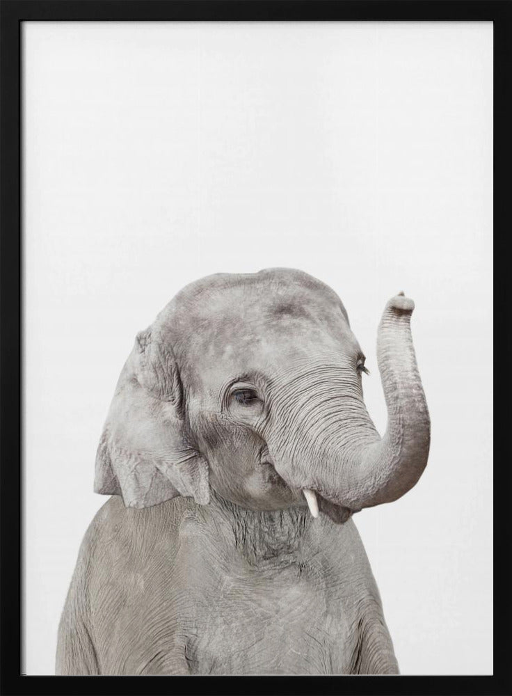 Baby Elephant | Poster