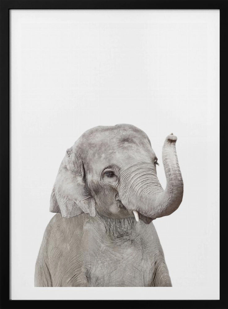 Baby Elephant | Poster