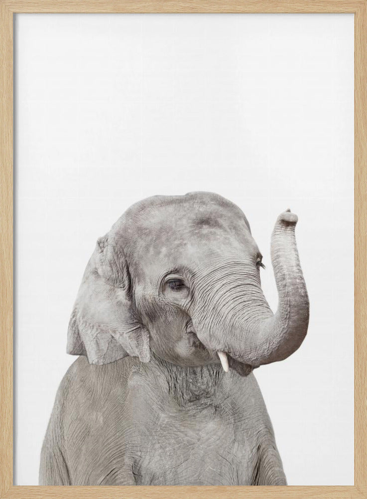 Baby Elephant | Poster