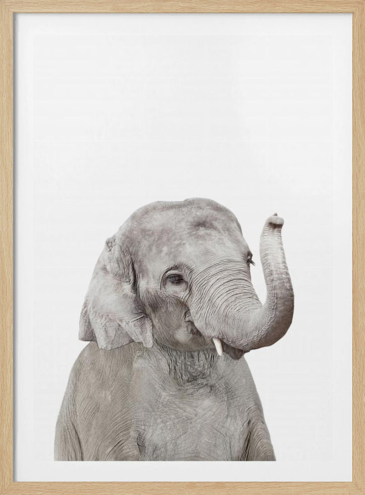 Baby Elephant | Poster