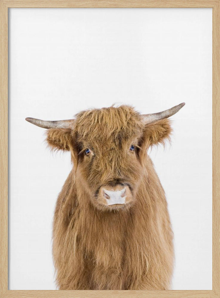 Baby Cow | Poster