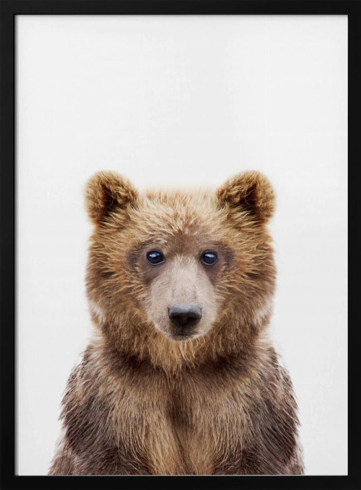 Baby Bear | Poster