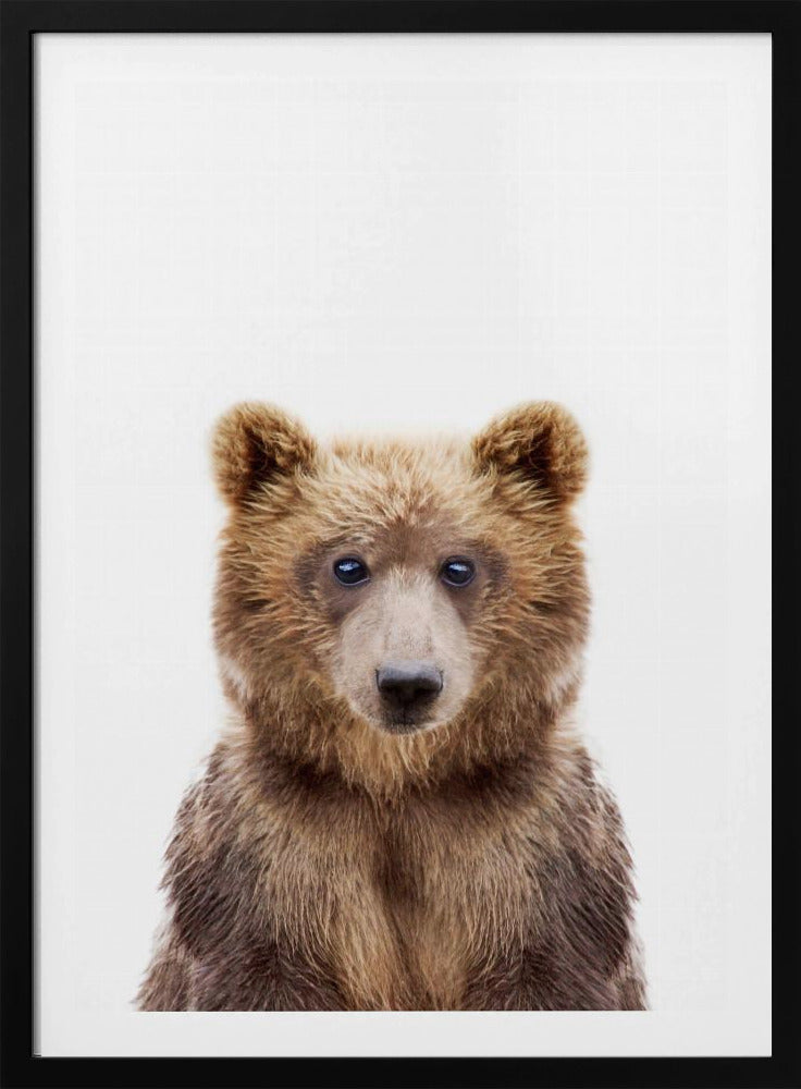 Baby Bear | Poster