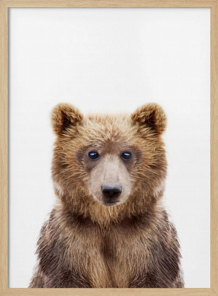 Baby Bear | Poster
