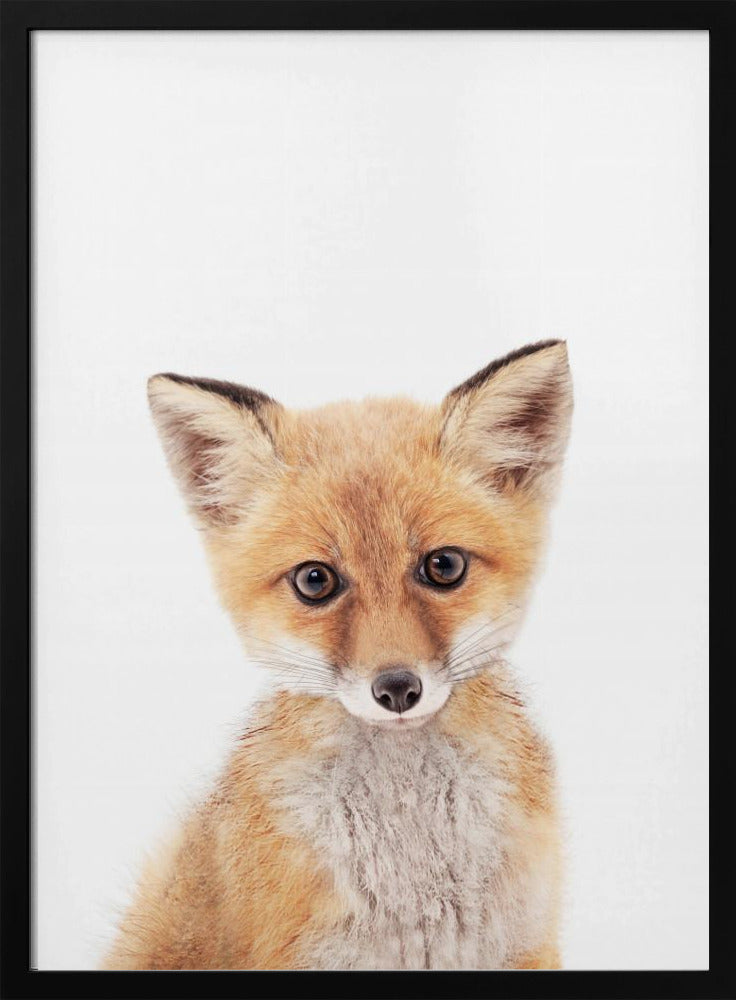 Baby Fox | Poster