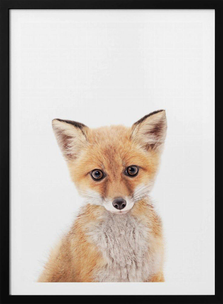 Baby Fox | Poster