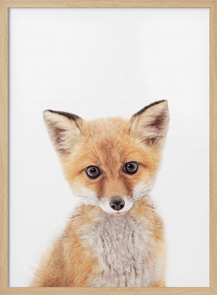 Baby Fox | Poster