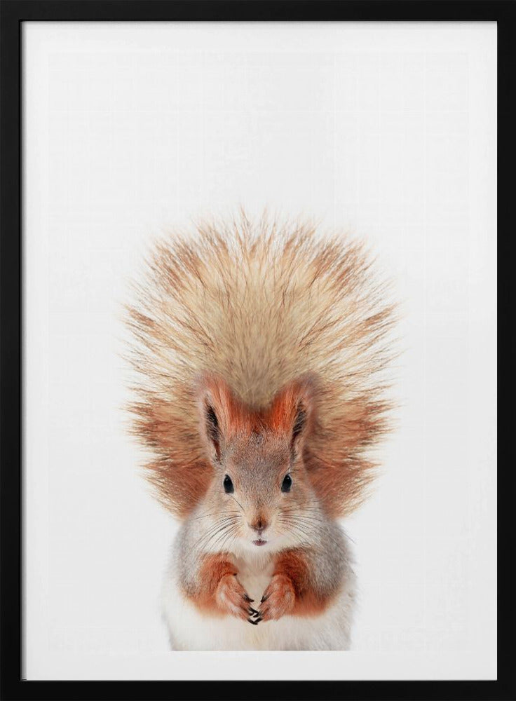 Baby Squirel | Poster