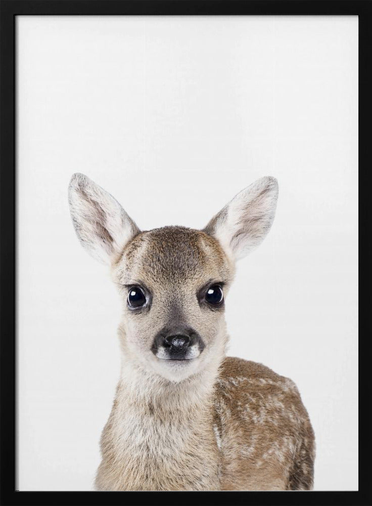 Baby Deer | Poster