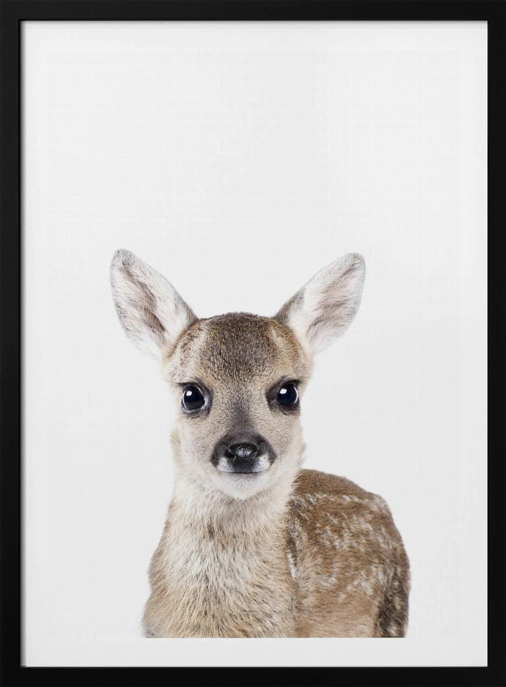 Baby Deer | Poster