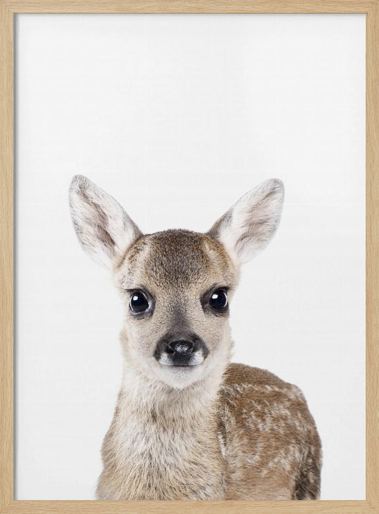 Baby Deer | Poster