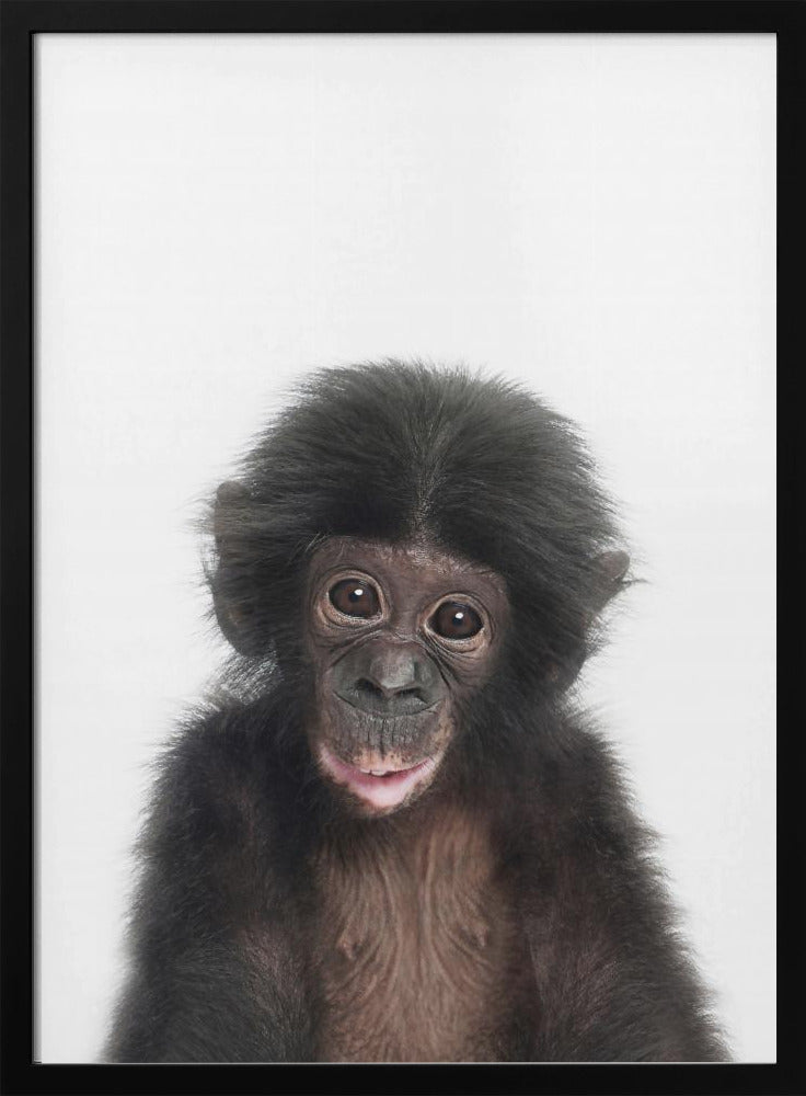 Baby Monkey | Poster