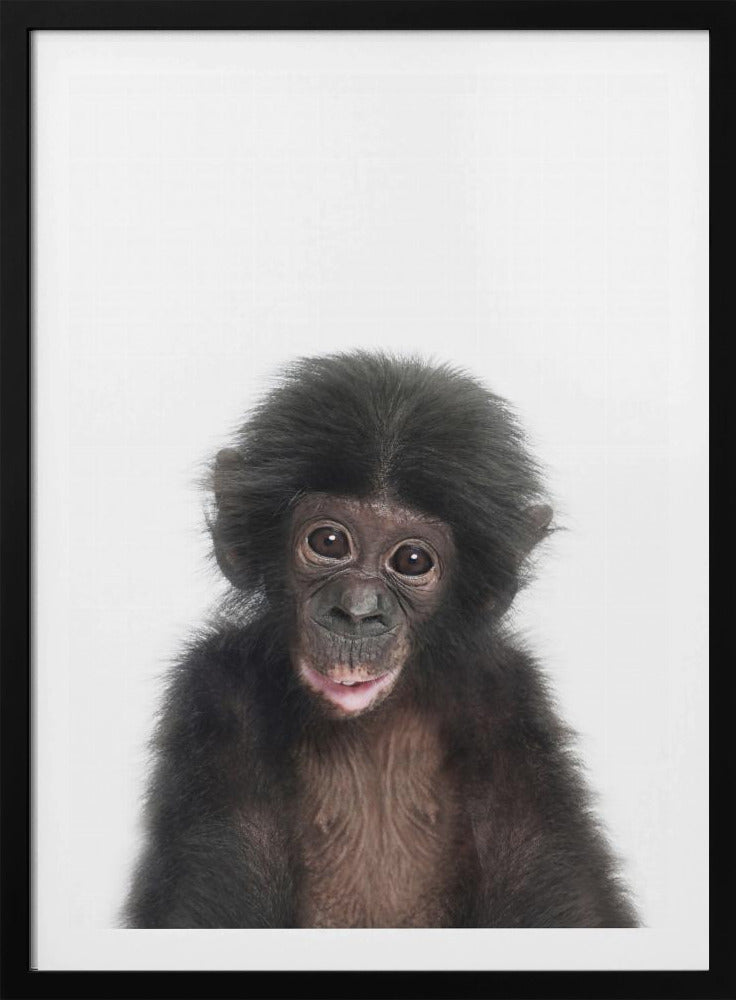 Baby Monkey | Poster