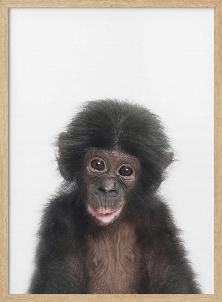 Baby Monkey | Poster