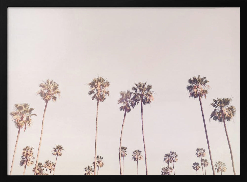 Sunny Cali Palm Trees | Poster