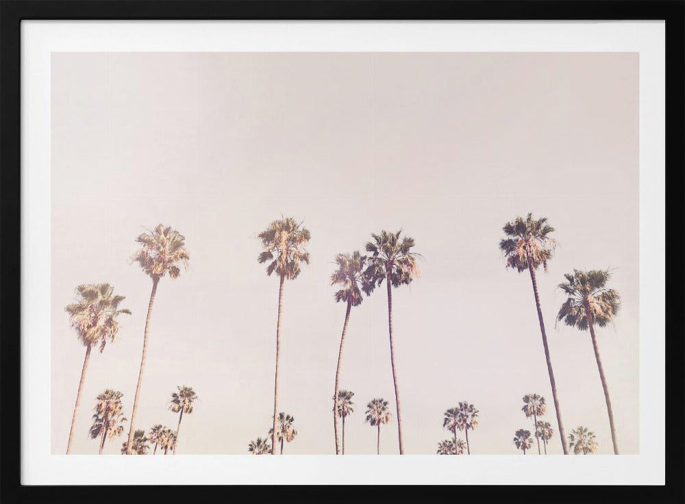 Sunny Cali Palm Trees | Poster