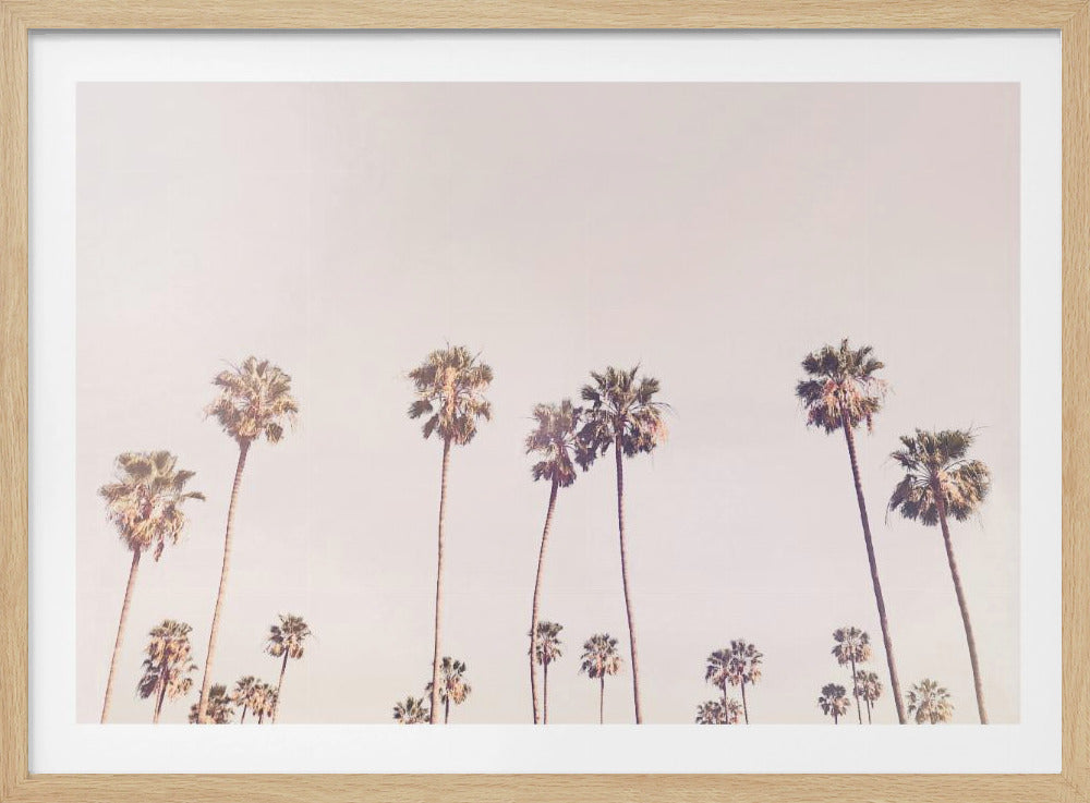 Sunny Cali Palm Trees | Poster
