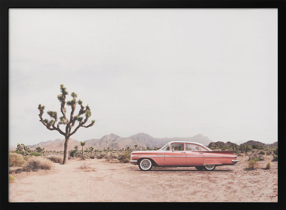 In the desert | Poster