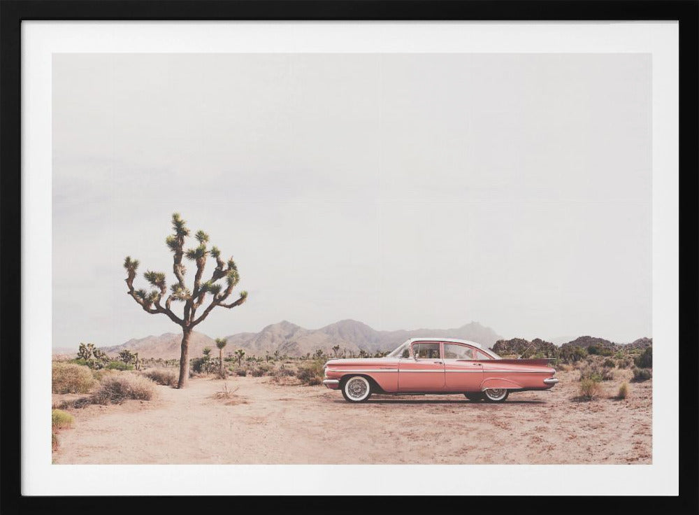 In the desert | Poster