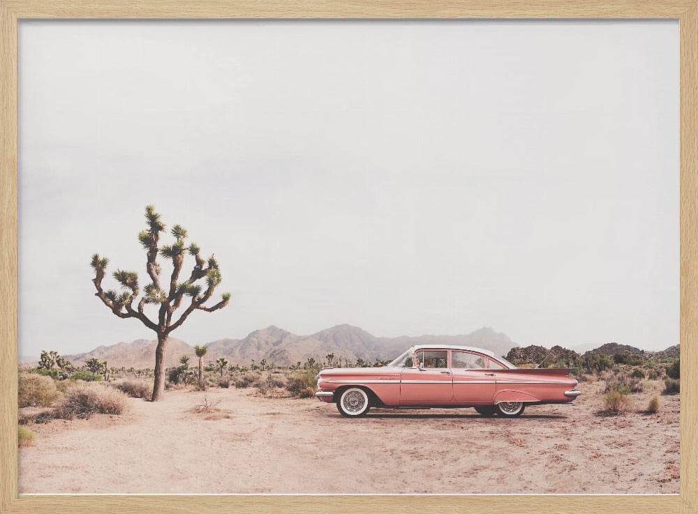 In the desert | Poster