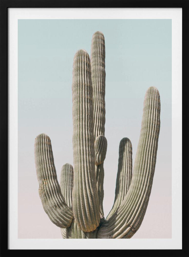 Saguaro | Poster