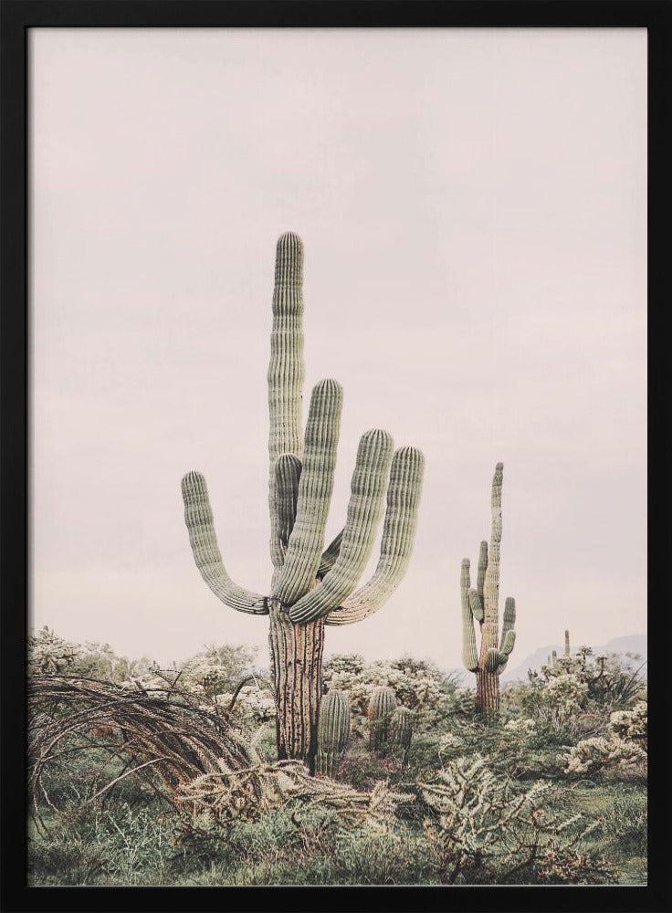 Pink Saguaro | Poster
