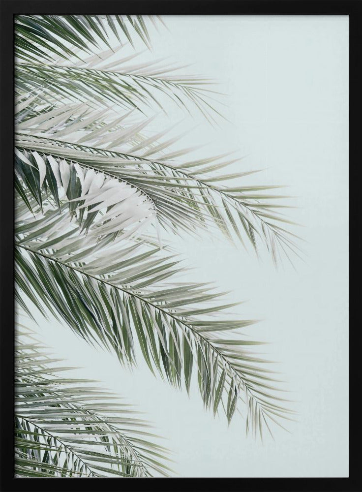 Blue Palms | Poster