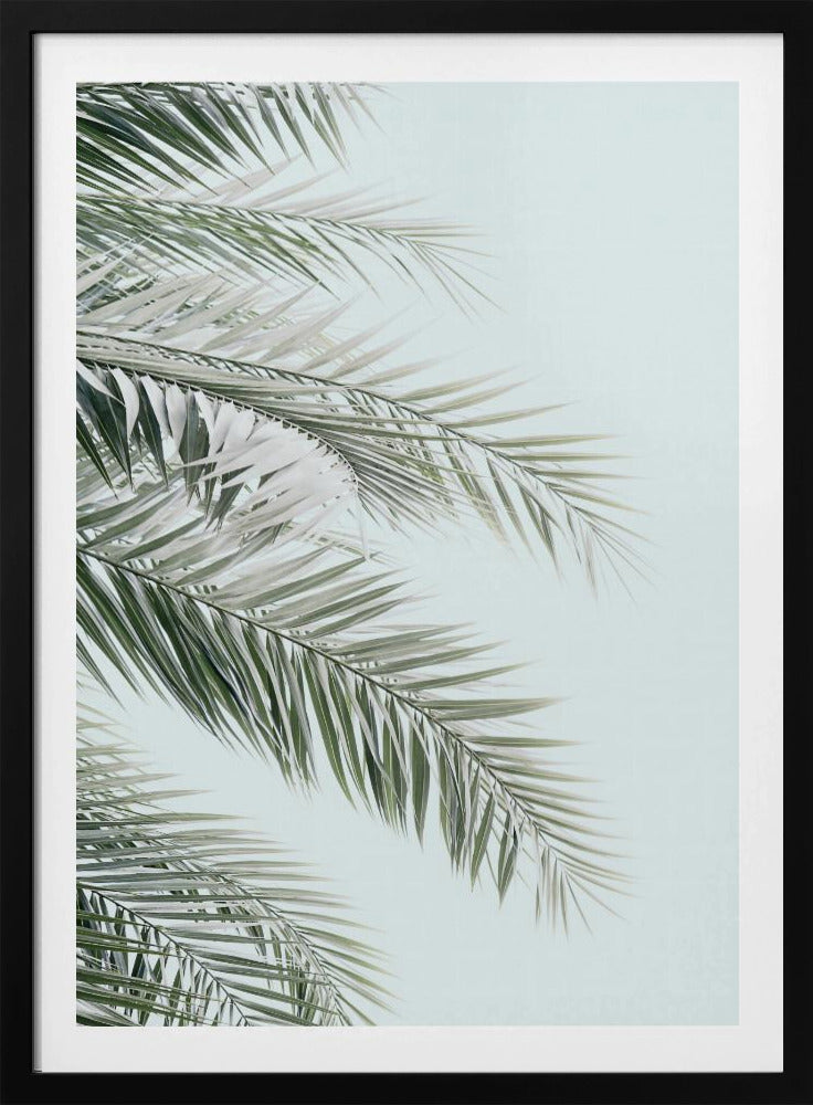Blue Palms | Poster