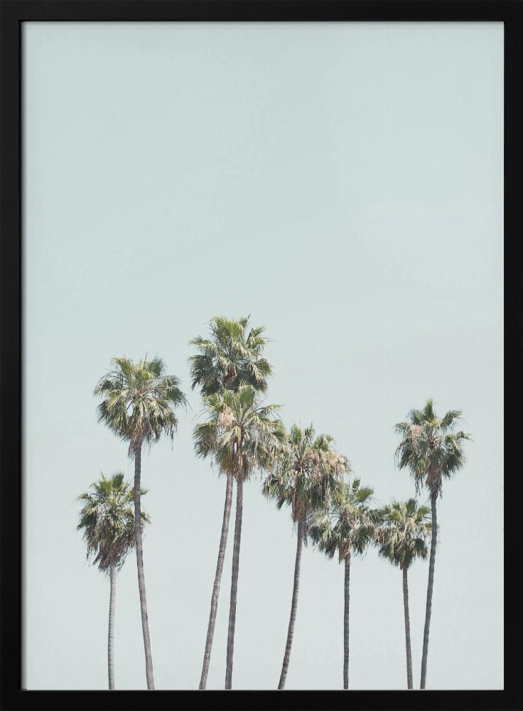 Blue Palm Trees | Poster