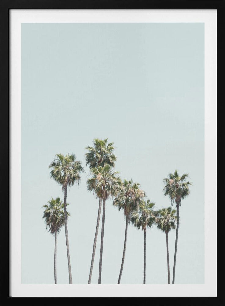 Blue Palm Trees | Poster
