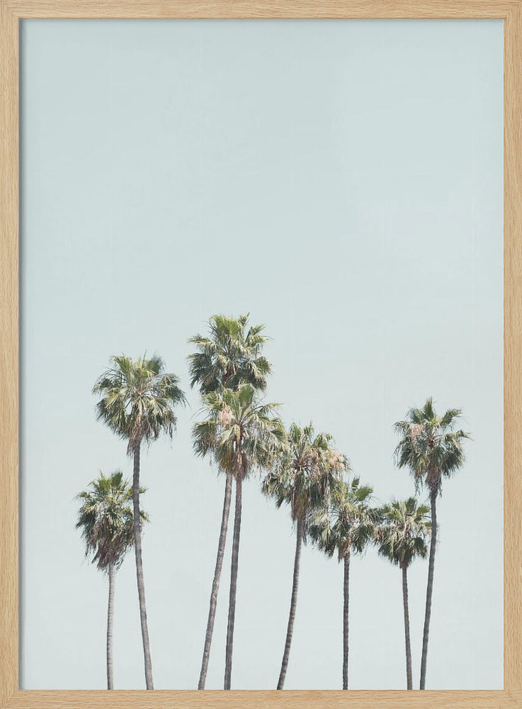 Blue Palm Trees | Poster