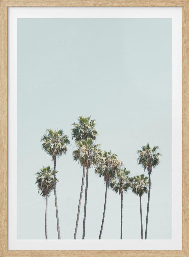 Blue Palm Trees | Poster