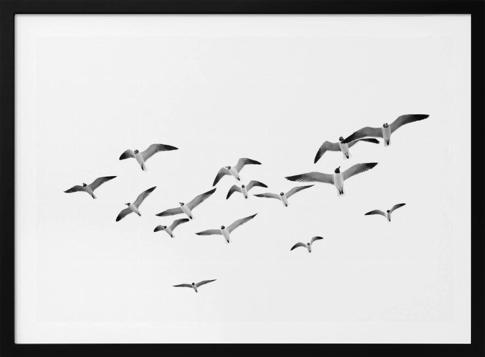 Flying Birds | Poster