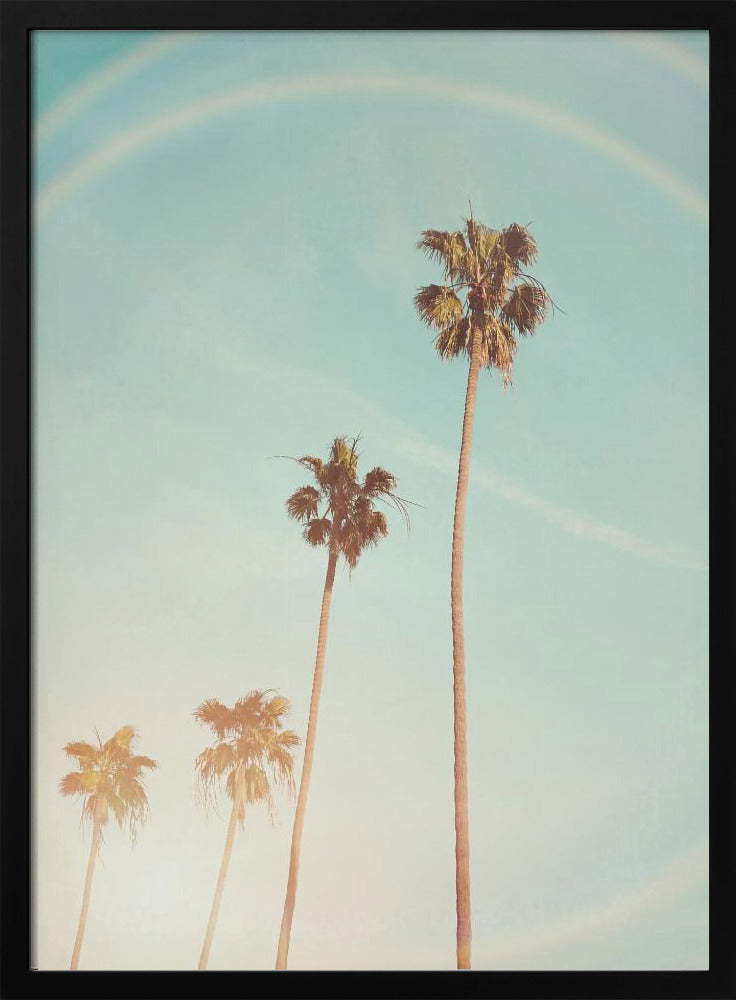 Sunny Cali Palm Tree | Poster