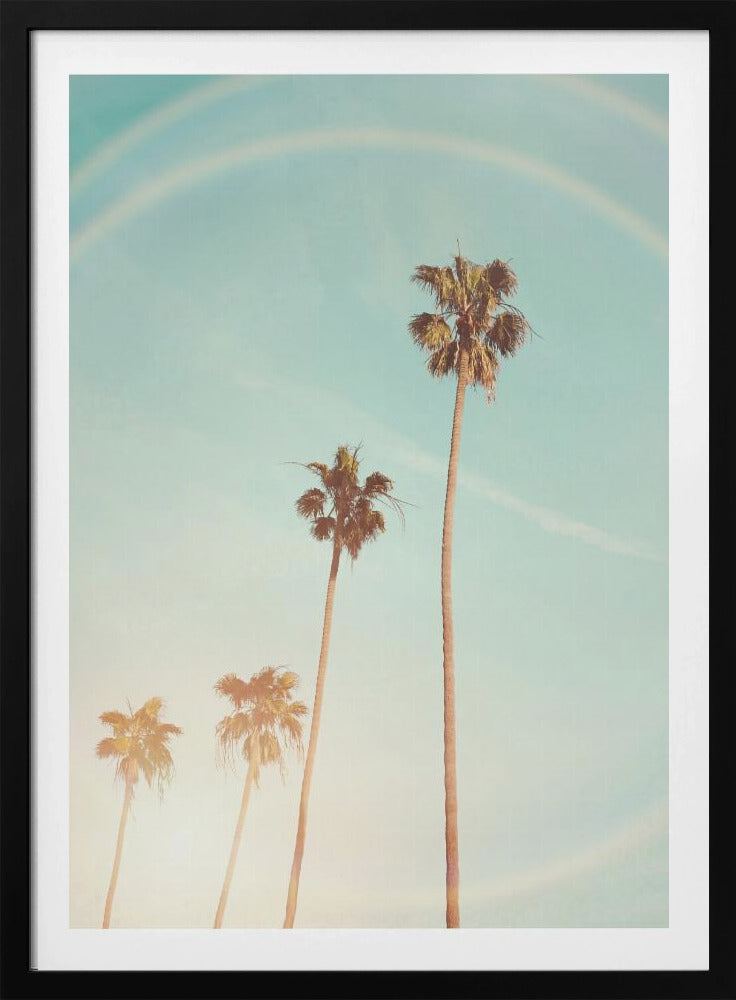 Sunny Cali Palm Tree | Poster