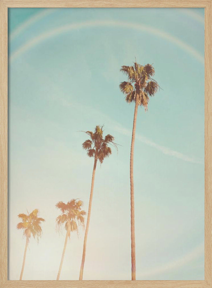 Sunny Cali Palm Tree | Poster