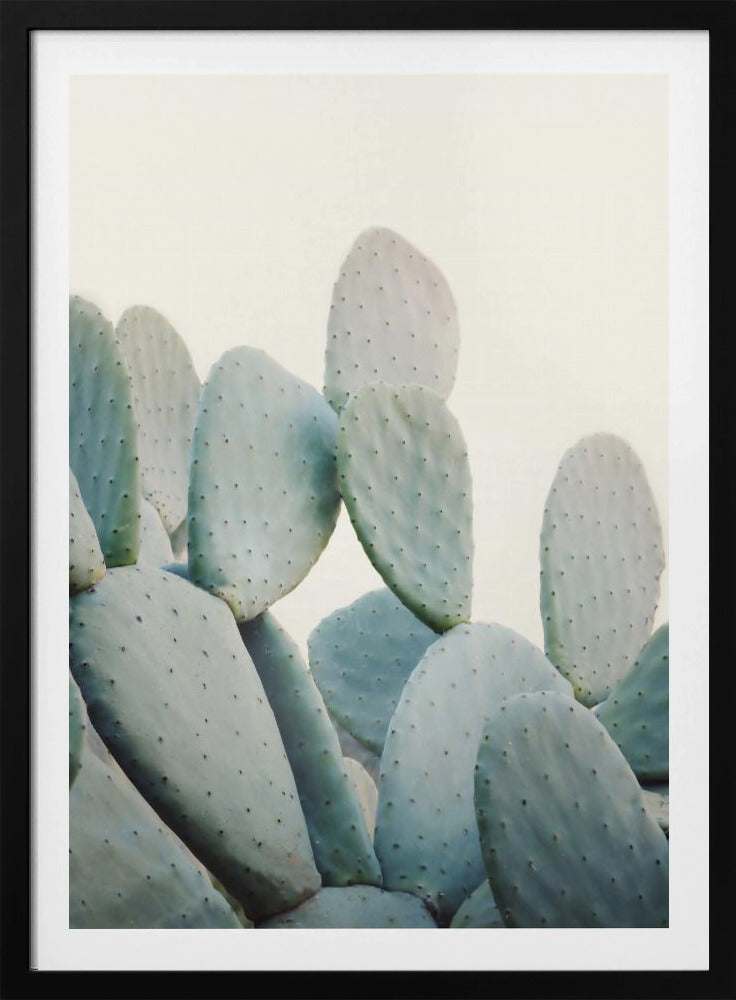 Pastel Cacti | Poster