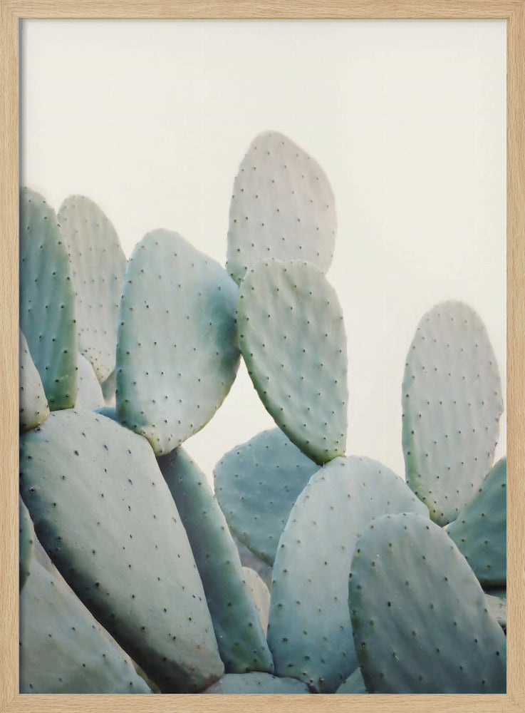 Pastel Cacti | Poster