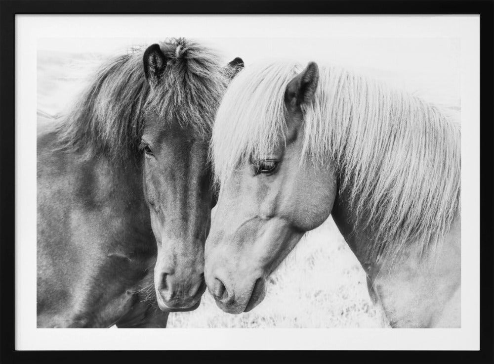 Horse Love | Poster