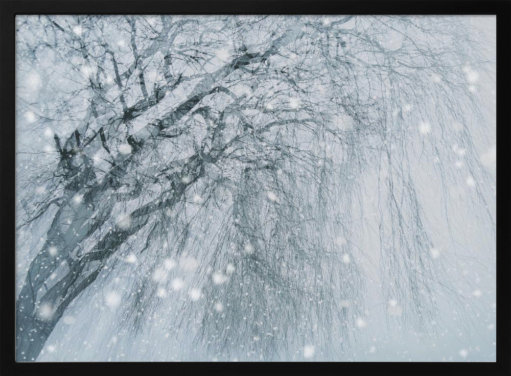 Winter tree | Poster