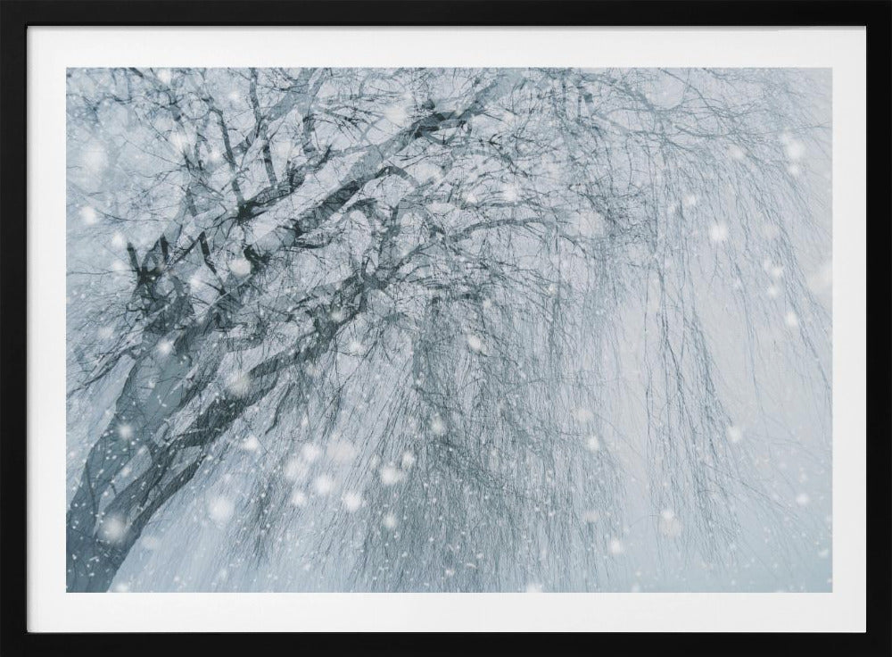 Winter tree | Poster