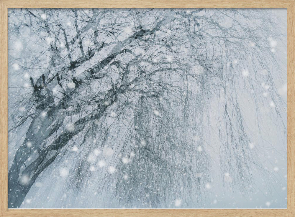 Winter tree | Poster