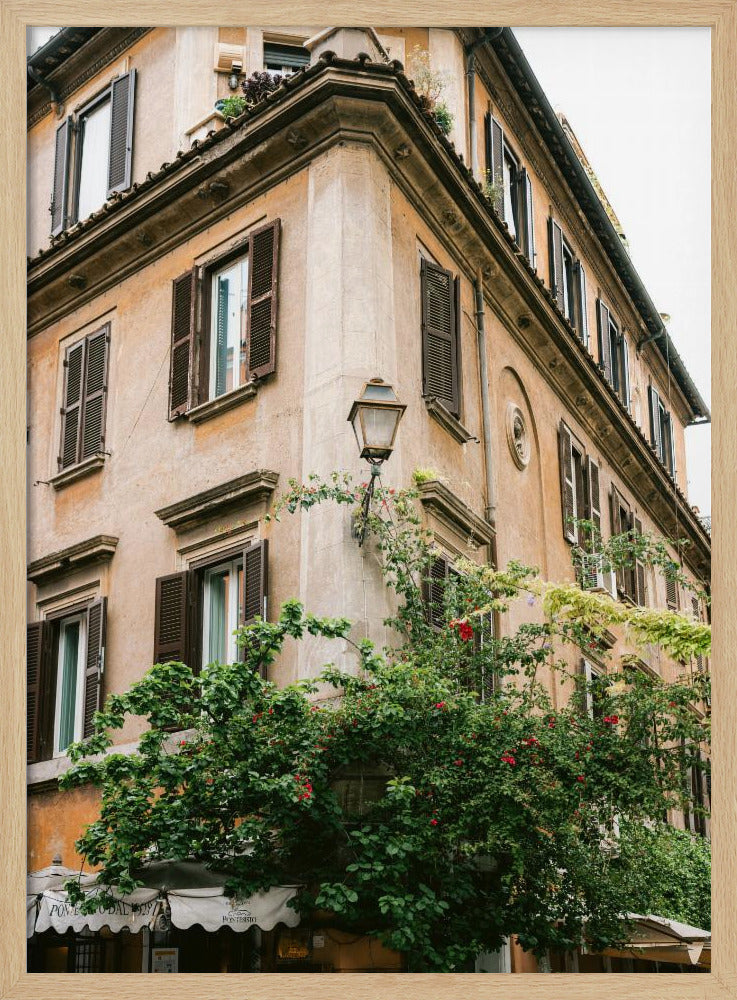 Botanical Trastevere Rome || | Poster