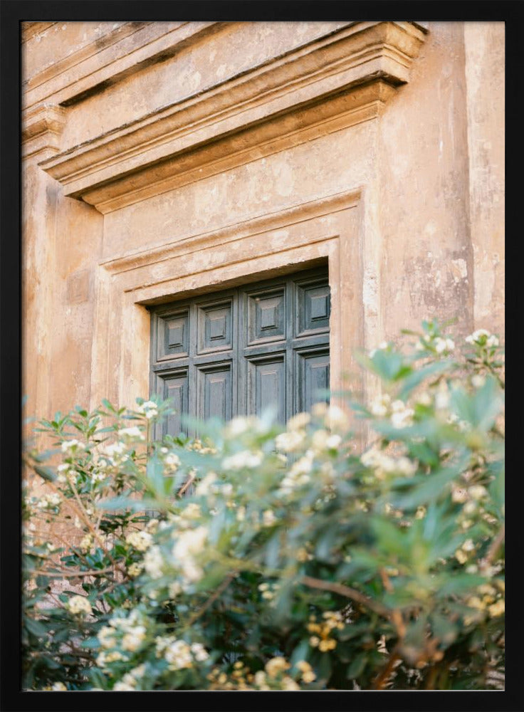 Botanical Trastevere Rome | Poster