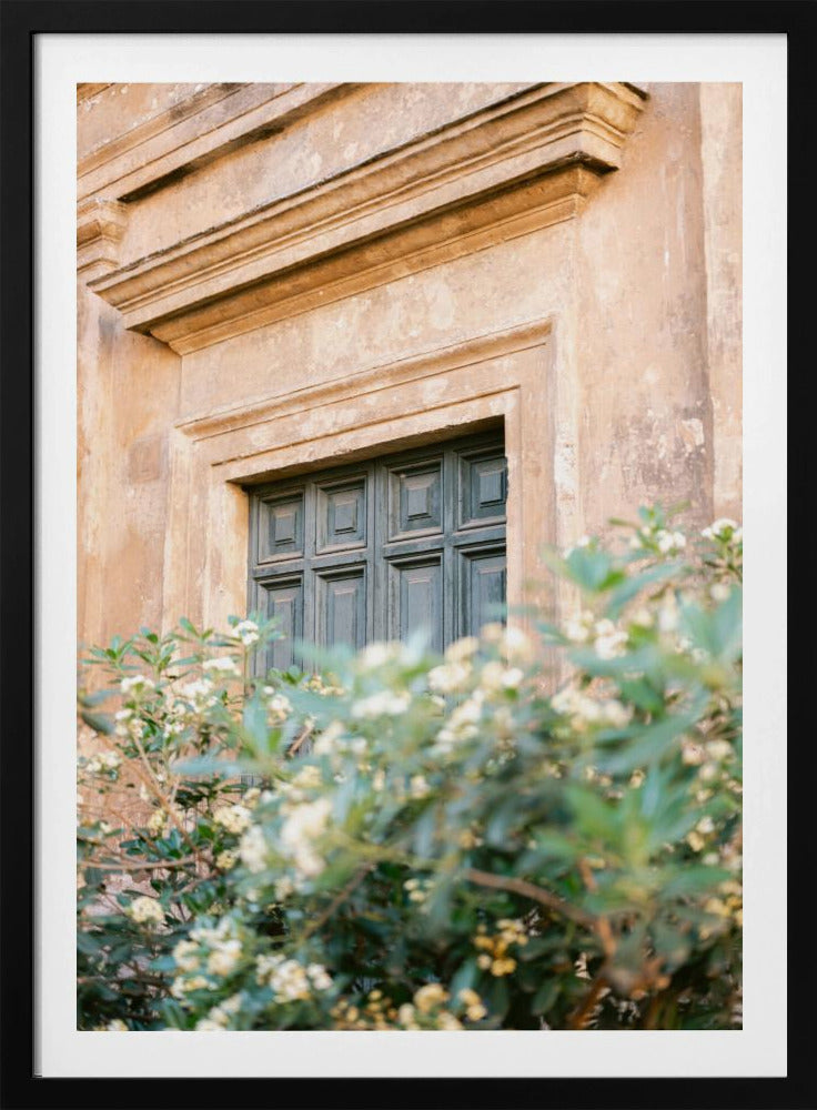 Botanical Trastevere Rome | Poster