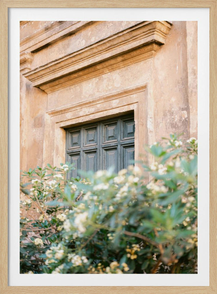 Botanical Trastevere Rome | Poster