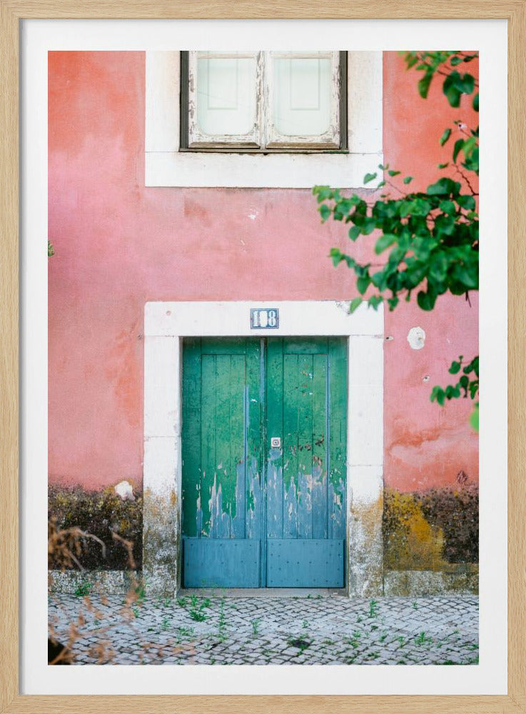Little door in Lisbon | Poster